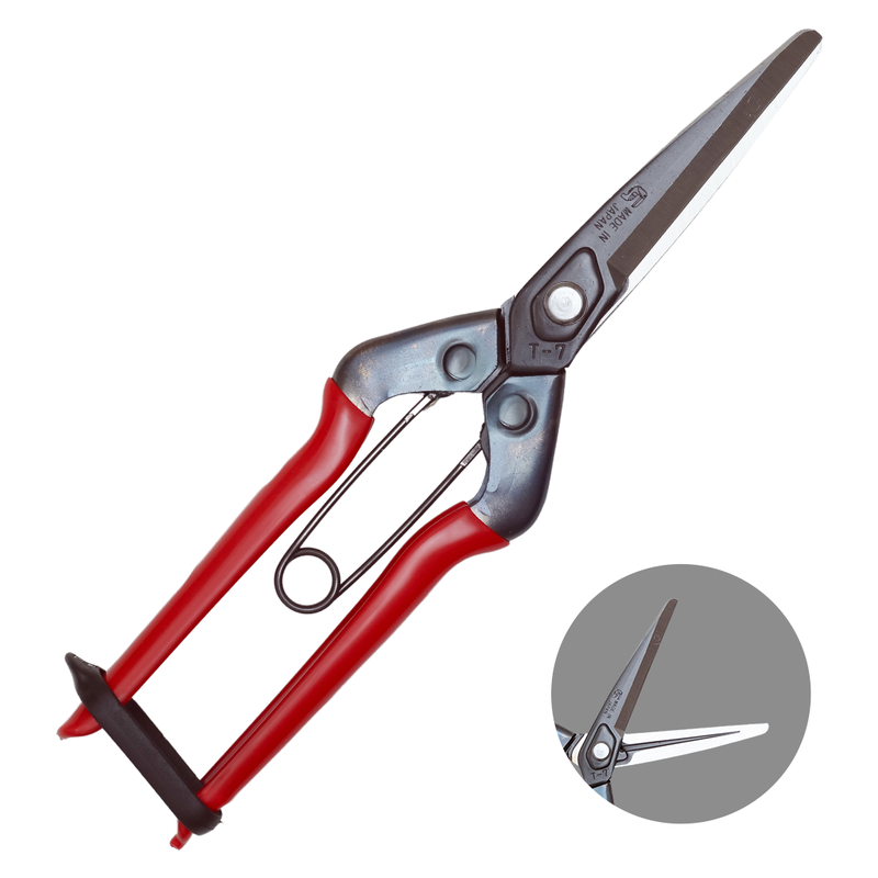 Tesoura de Colheita e Raleio Chikamasa T-700