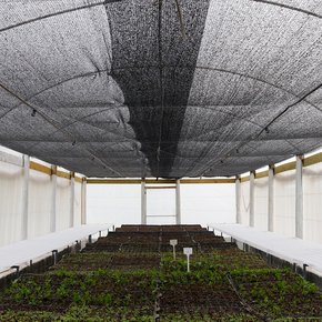 estufa filme 150micras