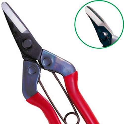 Tesoura de Colheita Chikamasa S-600